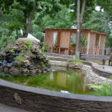 Как да направите вътрешен двор в страната със собствените си ръце: какво е това, опции за дизайн